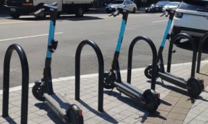 Electric scooter craze